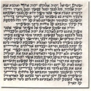 Mezuzah Scroll Parchment